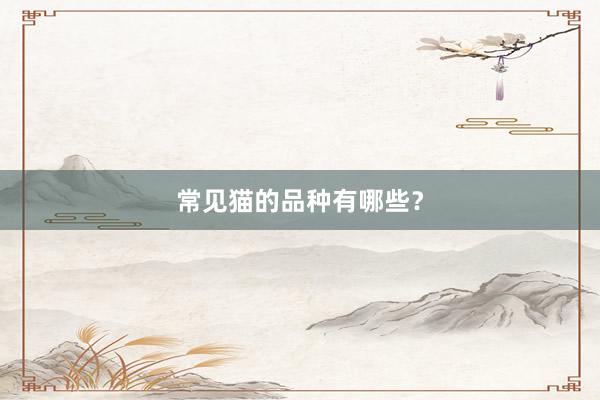 常见猫的品种有哪些？