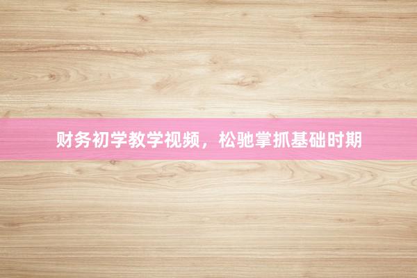 财务初学教学视频，松驰掌抓基础时期